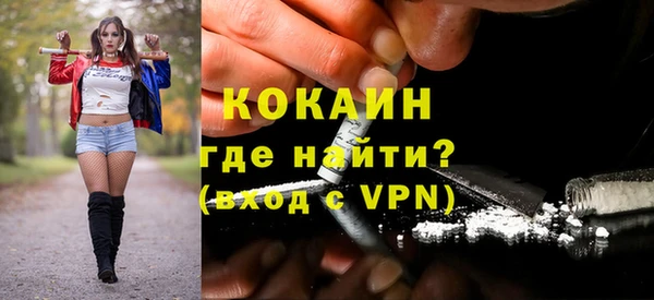 индика Балахна